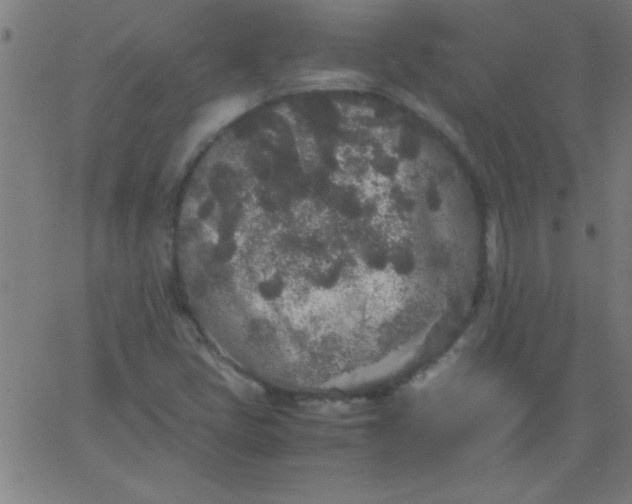 X0000067911405200604271906