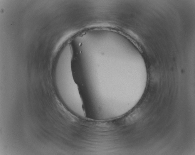 X0000067911408200604271906