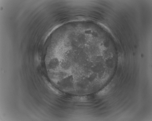 X0000067911409200604271906