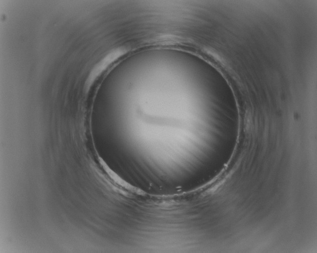 X0000067911410200604271906