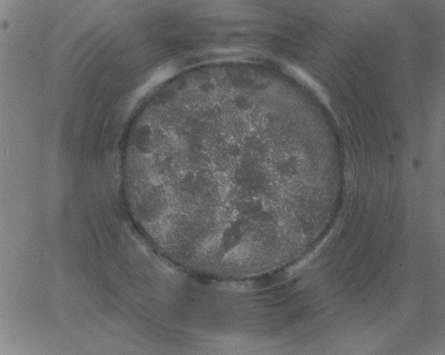 X0000067911411200604271906