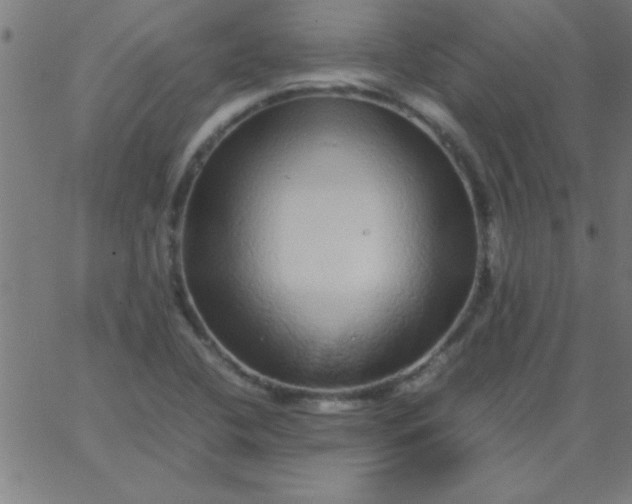 X0000067911412200604271906