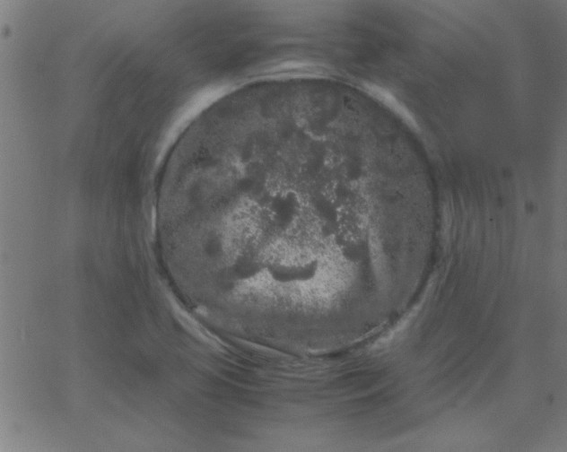 X0000067911413200604271906