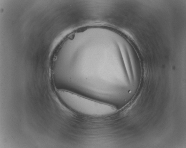 X0000067911414200604271906