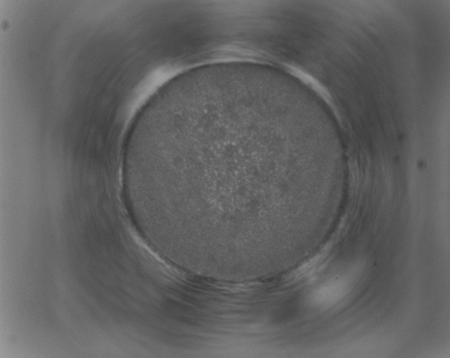 X0000067911415200604271906