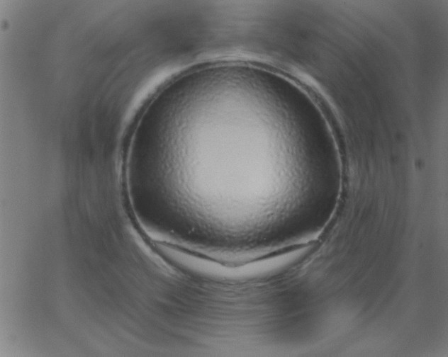 X0000067911416200604271906