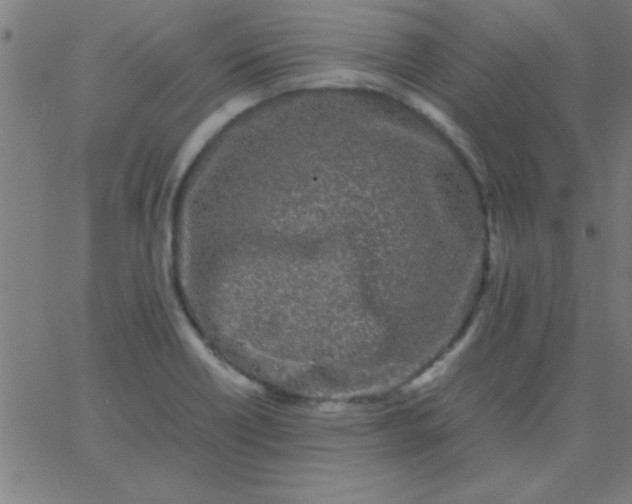 X0000067911418200604271906