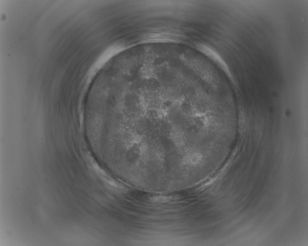 X0000067911419200604271906