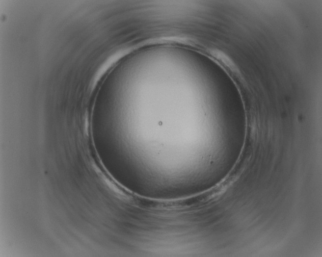 X0000067911420200604271906