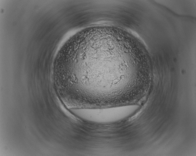 X0000067911421200604271906