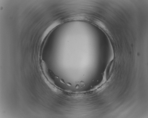 X0000067911426200604271906