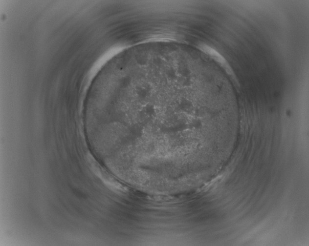 X0000067911427200604271906