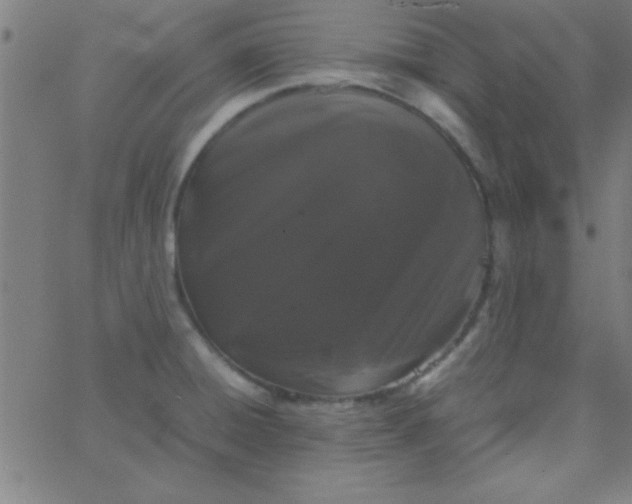 X0000067911428200604271906