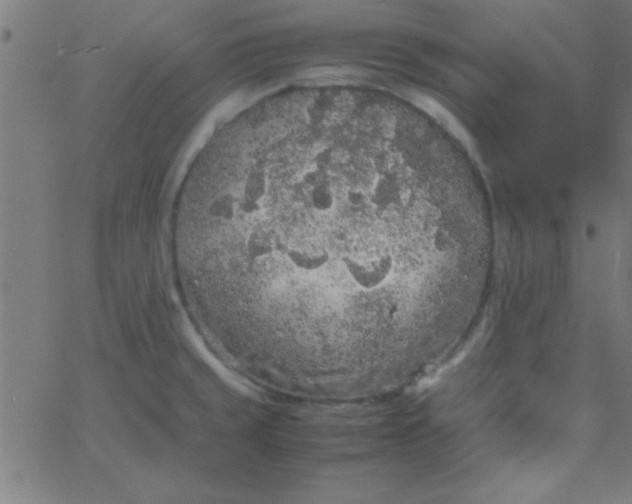 X0000067911429200604271906