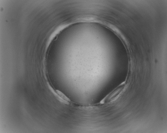 X0000067911432200604271906