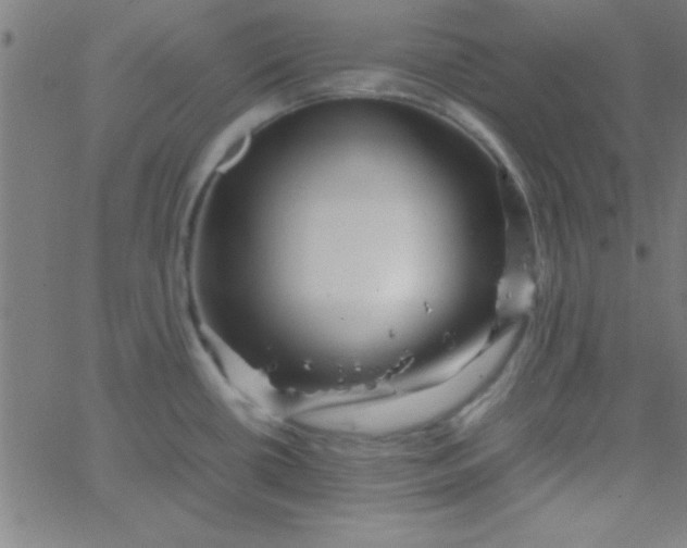 X0000067911434200604271906