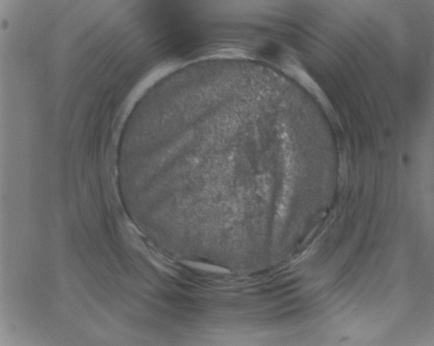 X0000067911435200604271906