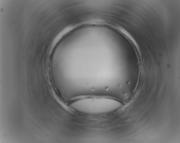 X0000067911437200604271906