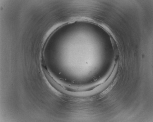 X0000067911438200604271906