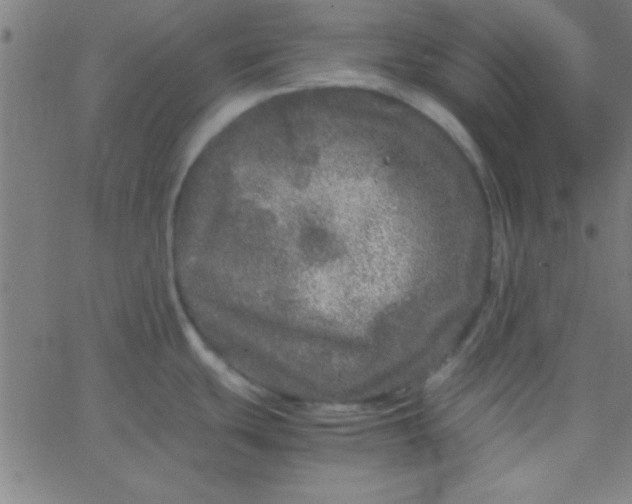 X0000067911439200604271906