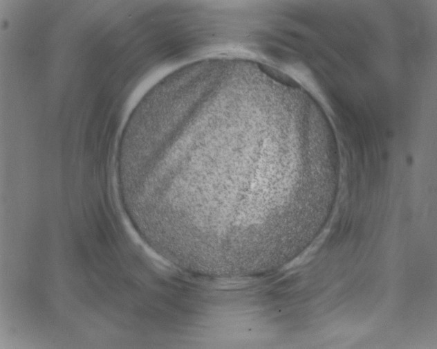 X0000067911440200604271906