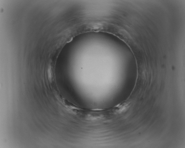 X0000067911442200604271906