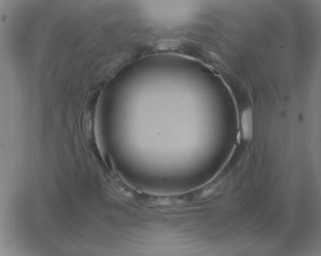 X0000067911443200604271906