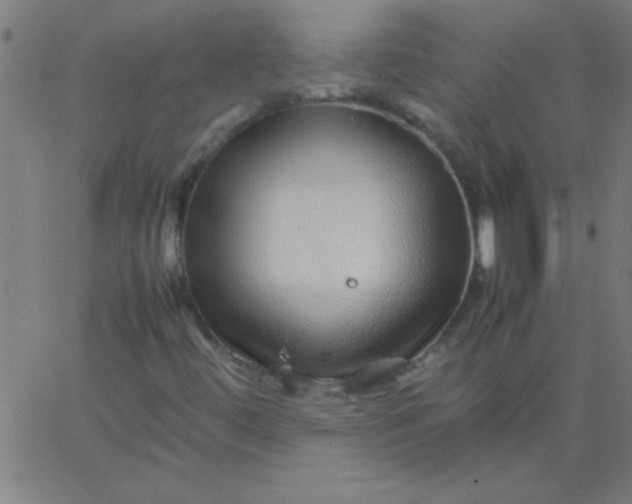 X0000067911444200604271906