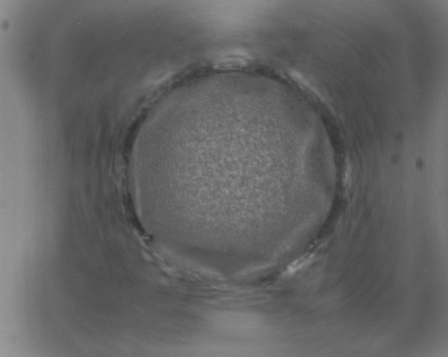 X0000067911445200604271906