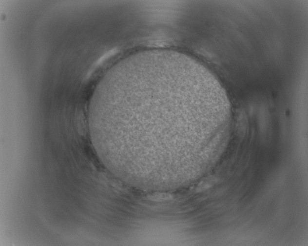 X0000067911446200604271906