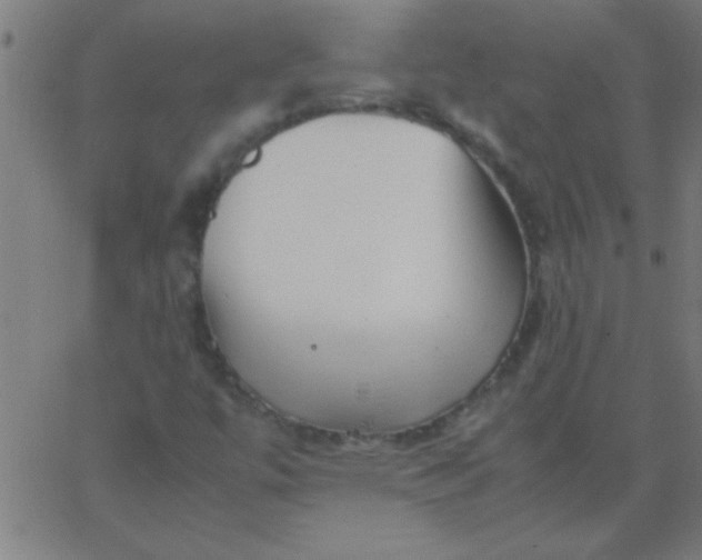 X0000067911447200604271906