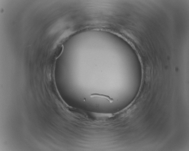 X0000067911451200604271906