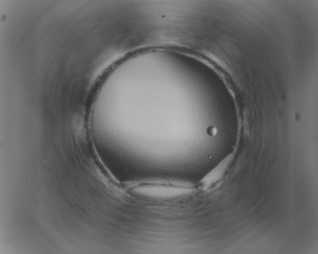 X0000067911452200604271906