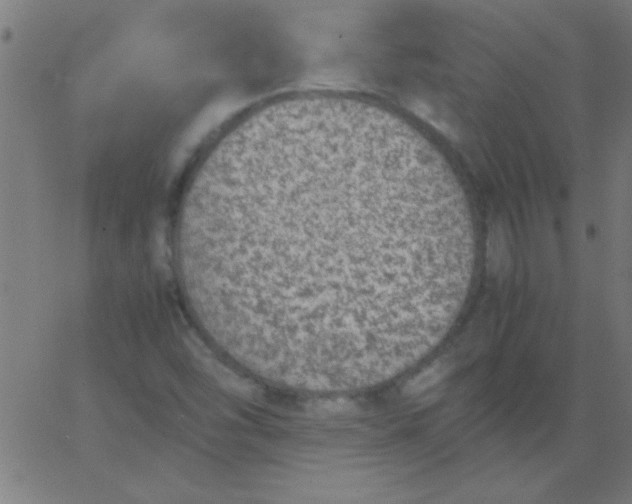 X0000067911454200604271906