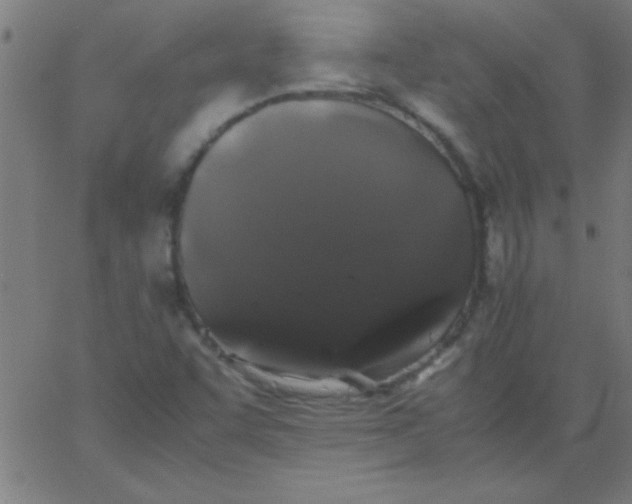 X0000067911455200604271905