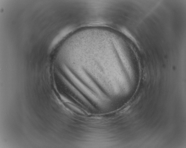 X0000067911456200604271905