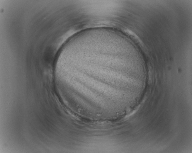 X0000067911457200604271905