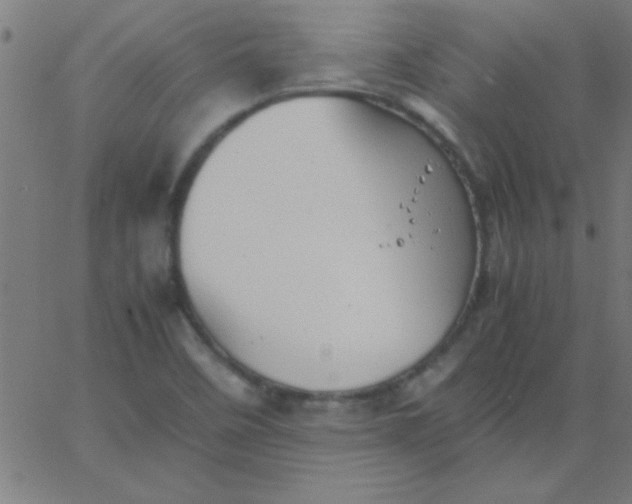 X0000067911458200604271905