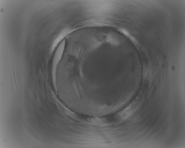 X0000067911459200604271905