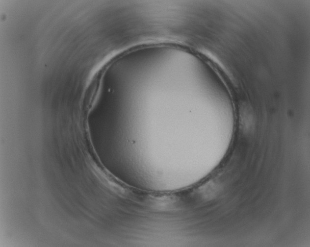 X0000067911460200604271905