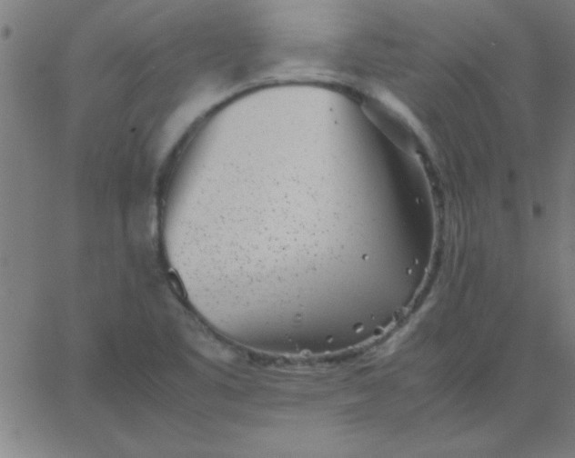 X0000067911461200604271905