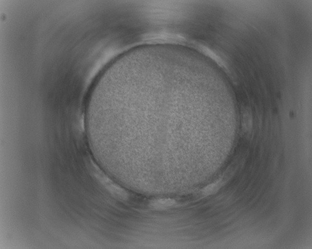 X0000067911462200604271905