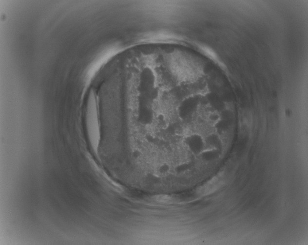 X0000067911463200604271905