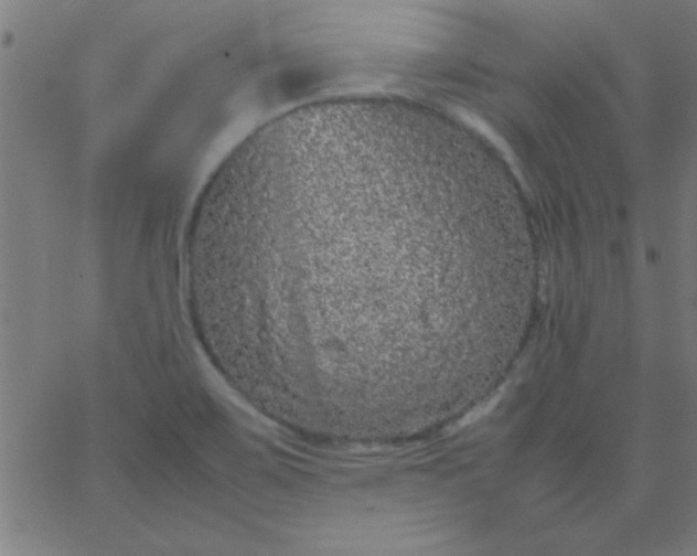 X0000067911467200604271905