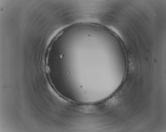 X0000067911468200604271905