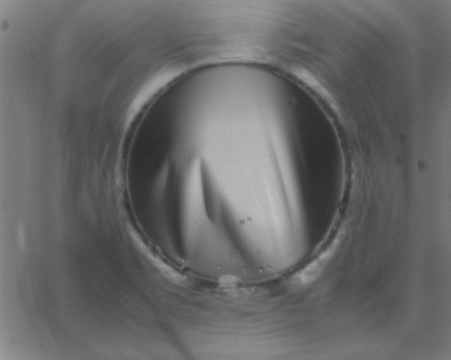 X0000067911469200604271905