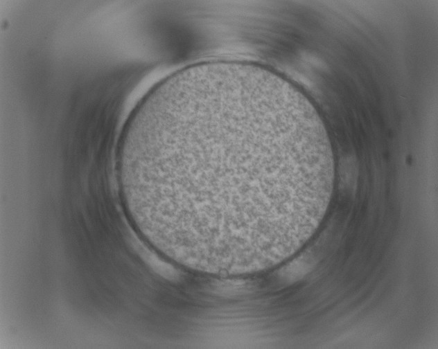 X0000067911470200604271905