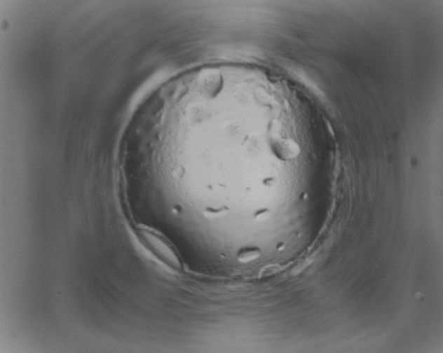 X0000067911471200604271905