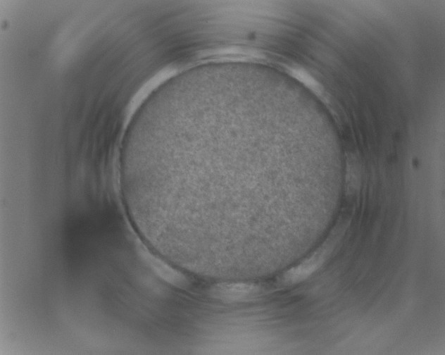 X0000067911474200604271905