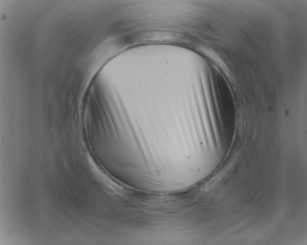 X0000067911475200604271905